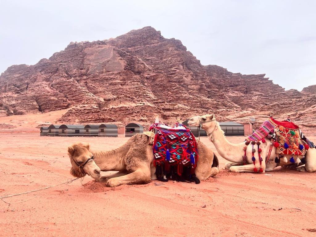 Wadi Rum Sky Tours & Camp Esterno foto